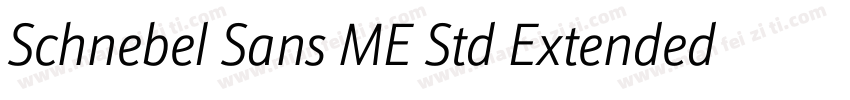 Schnebel Sans ME Std Extended Light字体转换
